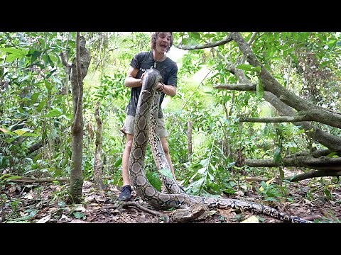 Surviving the GIANT SNAKE JUNGLE of BORNEO! Pt.4