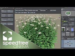 Daisy Flower | Speedtree Cinema 9 Tutorial