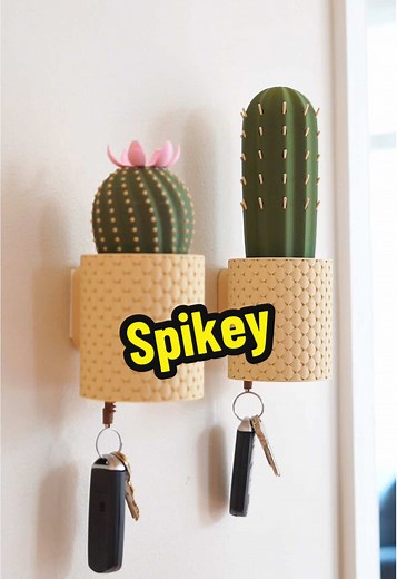 Create Your Own SpiKey Cactus Keyholder with STL Files