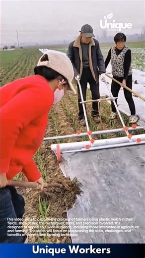 Farming techniques: a simple guide to using plastic mulch