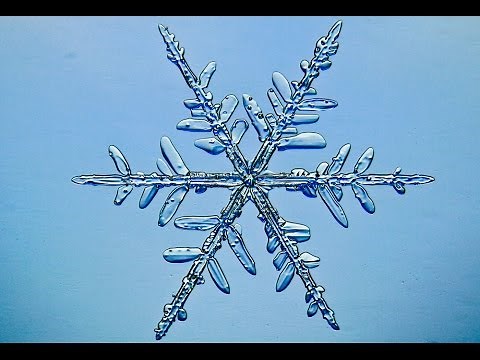 Snowflake Formation