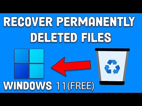 How to Recover Permanently Deleted Files in Windows 11