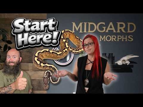 How to Build a Ball Python Project That Actually Makes Sense