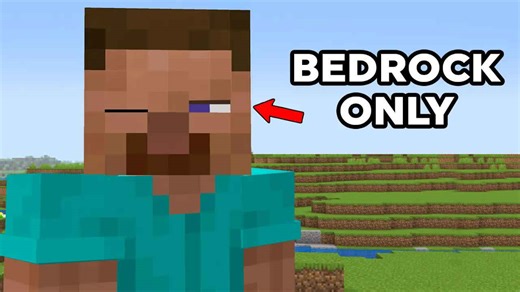 Java vs Bedrock things, but it gets increasingly weirder