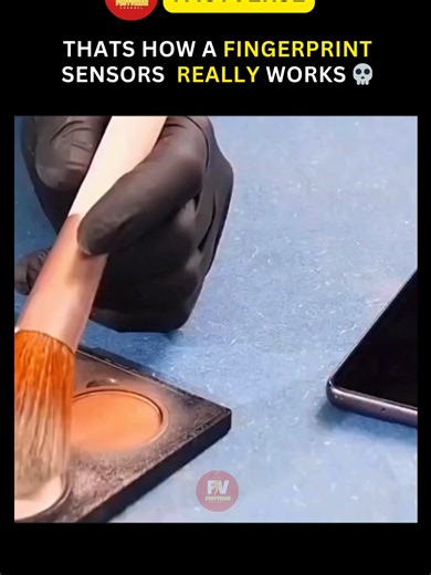 Understanding Modern Fingerprint Sensor Technology