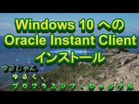 【Oracle】Windows 10 への Oracle Instant Client インストール