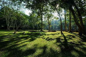 How to Make a Sun Map of Your Garden