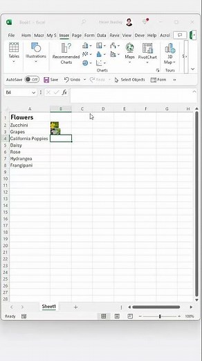 Insert Expandable Pictures into Cells in Excel