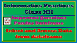 Important Dataframe class 12 questions and answers - TutorialAICSIP