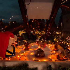 23K views · 668 reactions | Erlebt mit unserem EP-Express eine friedliche Nachtfahrt durch unseren winterlich dekorierten Park. ✨ | Europa-Park | Facebook