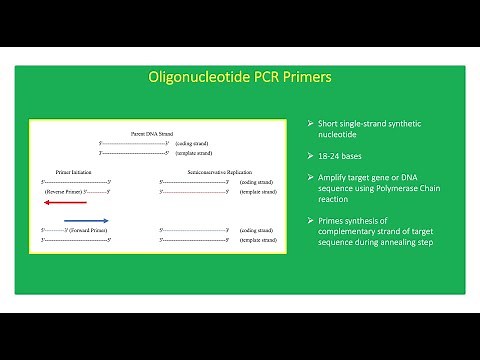 How To Design PCR Primers 👨🏻‍💻🧬