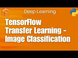 14. TensorFlow Image Classification with Transfer Learning | Step-by-Step Guide