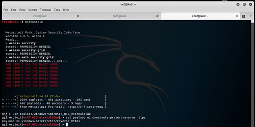 Metasploit Meterpreter: The Advanced and Powerful Payload