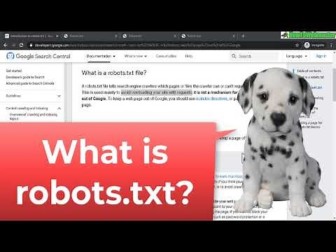 What is Robots.txt? How to Check if Your Website Has Robots.txt?