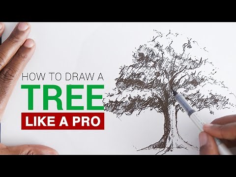 How to draw a realistic tree for beginners