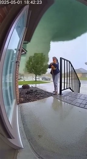 Wind Tries to Kidnap My Cat!