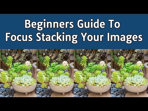 Beginners Guide to Focus Stacking Your Images