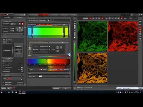 Leica SPE Microscope Tutorial