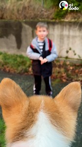 492K views · 10K reactions | Niño le escribe a su papá una carta convincente pidiéndole un cachorro de corgi. Mira su reacción cuando su sueño se haga realidad  | El Dodo | Facebook