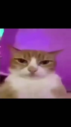 vampire on Instagram