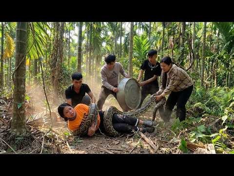 Huge Python Attack! Friends Save Woman From Giant Snake