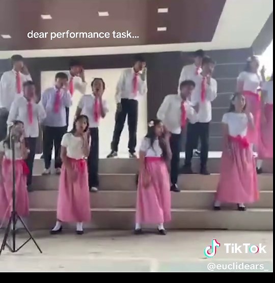 Understanding Euclidears in Performance Tasks