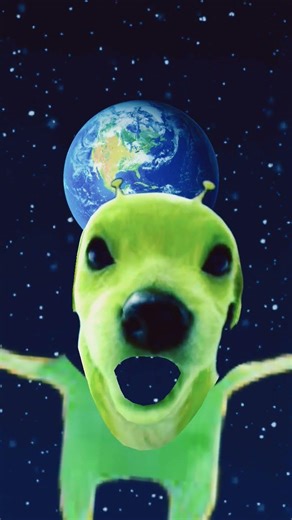 alien dog got infected