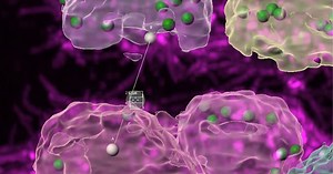 How to Cut Imaris Surfaces- Oxford Instruments