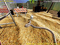 Python Snake Simulator - Play Now on Y8.com