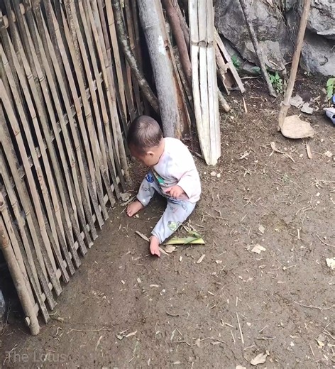 69K views · 1K reactions | The Poor Boy Live In A Small Shelter With His Bad Mother | Poor Life | Facebook