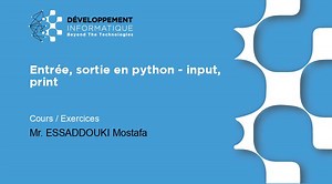 Entrée, sortie en python - input, print