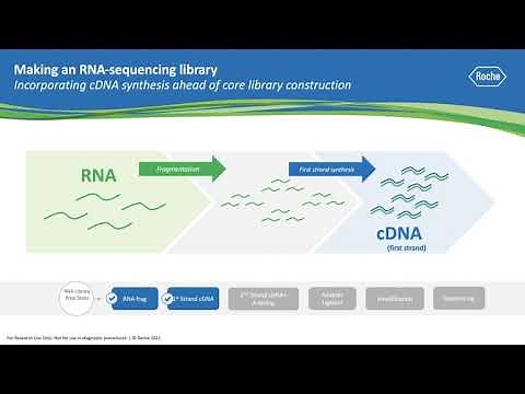 Ask a Scientist: How does RNA Sequencing Work?