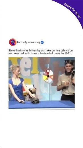 Bitten on Live TV: Steve Irwin’s Hilarious, Fearless Reaction to a Snake Bite