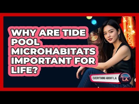 Why Are Tide Pool Microhabitats Important For Life?