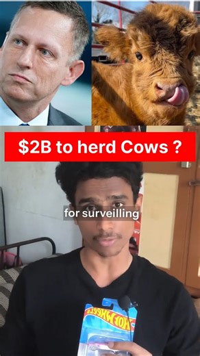Peter Thiel is herding Cows ?