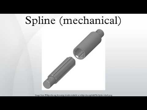 Spline (mechanical)