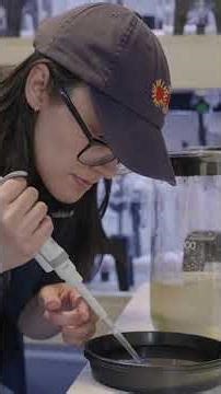 From near extinction: How Australia is restoring its shellfish reefs