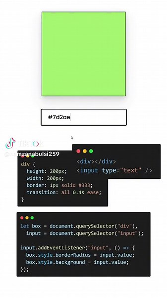 JavaScript Tips to Change Border Radius & Background Color #foryoupage #fyb #viral #tutorial #foryou #programming #coding #shorts #htmlcss #html #code #html5 #programmer #speedcode