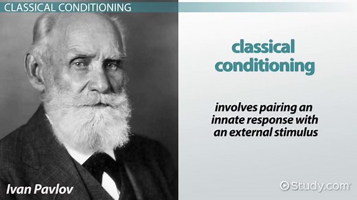 Complex Behavior Definition, Features & Examples