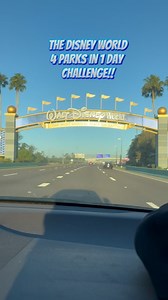 40K views · 1.1K reactions | Check it off the bucket list! ✅ The Disney World 4 parks in one day challenge is truly not for the faint of heart. You need to definitely have a plan, the right shoes, and a positive attitude! Thank you to everyone who helped make this happen! Ya’ll are the best! #waltdisneyworld #disney #wdw #4parks1day #animalkingdom #magickingdom #epcot #hollywoodstudios #disneyadult #bucketlistadventures #bucketlist | Hashtag Karenag | Facebook
