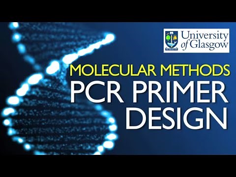 PCR Primer Design