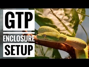 GUIDE TO SETTING UP A GREEN TREE PYTHON ENCLOSURE