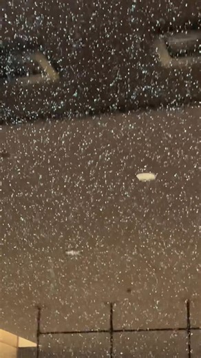 7.7K views · 1.7K reactions | 皆さんに、北海道の初雪を　来週は宮古島にいます | Hajime Murata | Facebook