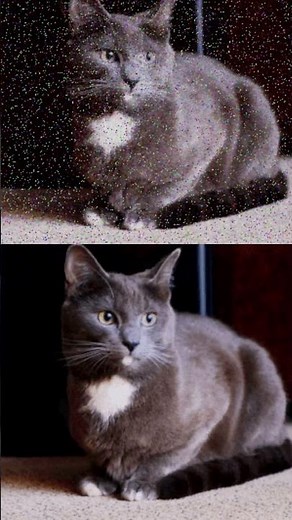 Quick Guide to Autoencoders in Deep Learning!