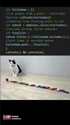 domino chain cat edition #coding #programming #javascript #python