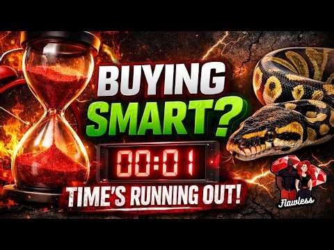 Why Ball Python Prices CRASH (And When You Should Buy In)