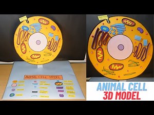 Animal Cell Model | Science 3D Project Model For Students | Animal cell project | animal cell 3D