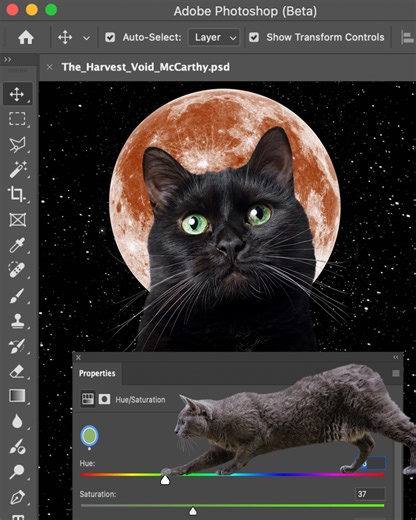 64K views · 177 reactions | When your collage comes to life (literally).  Mr Matt McCarthy’s universe of curious cats continues… stay tuned for the next ameowzing piece! ✨ | Adobe Photoshop | Facebook