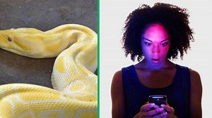 "I'm traumatised": Man captures python pooping, netizens first time seeing this