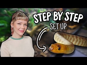 The EASIEST Woma Python Enclosure Build...